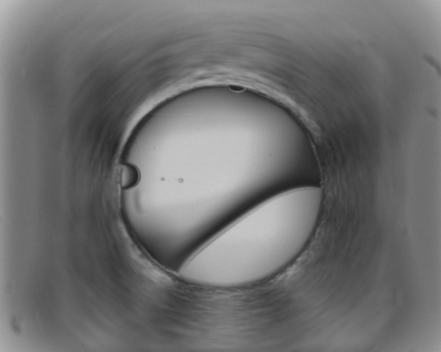 X0000096721522200802051049