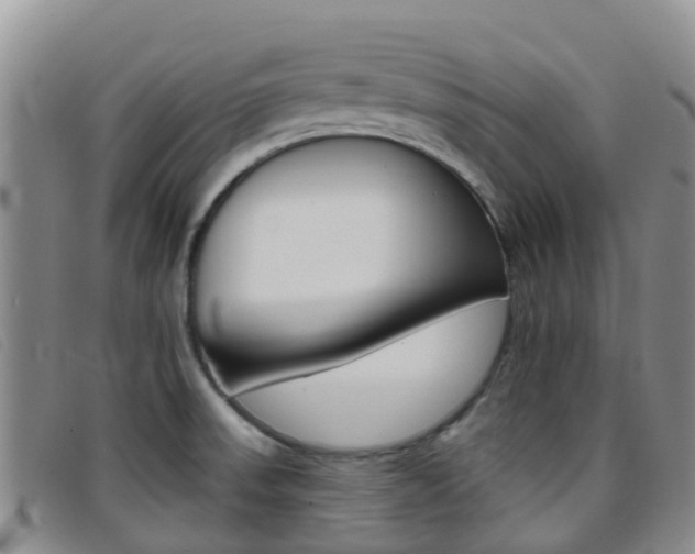 X0000096721523200802051049