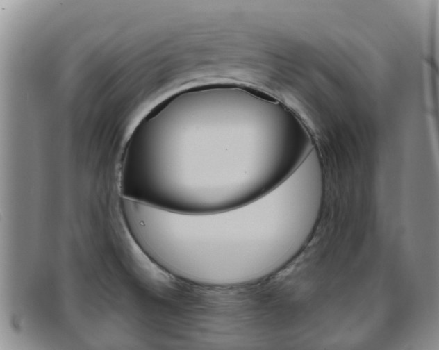 X0000096721524200802051049