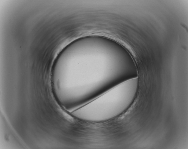 X0000096721525200802051049
