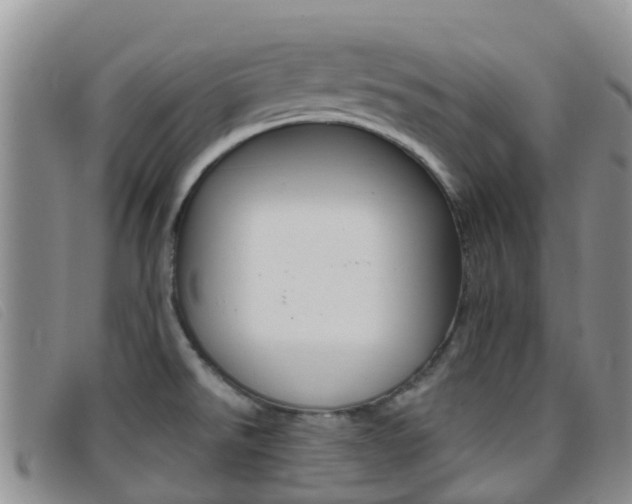 X0000096721526200802051049