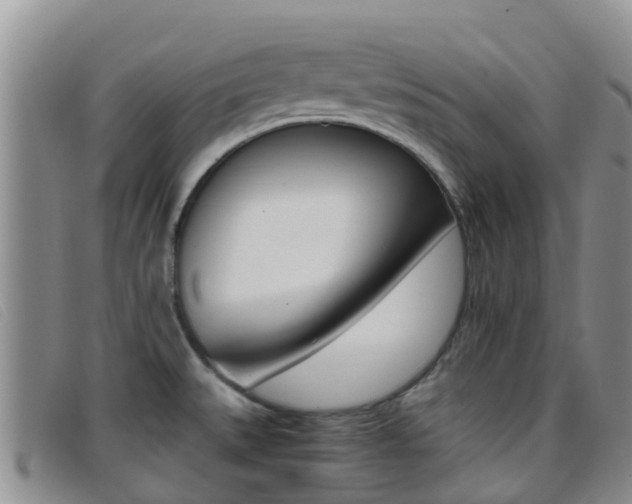 X0000096721527200802051049