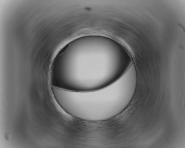X0000096721528200802051049