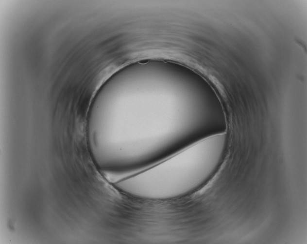 X0000096721529200802051049