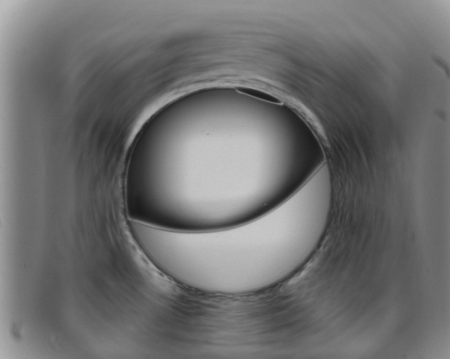X0000096721530200802051049