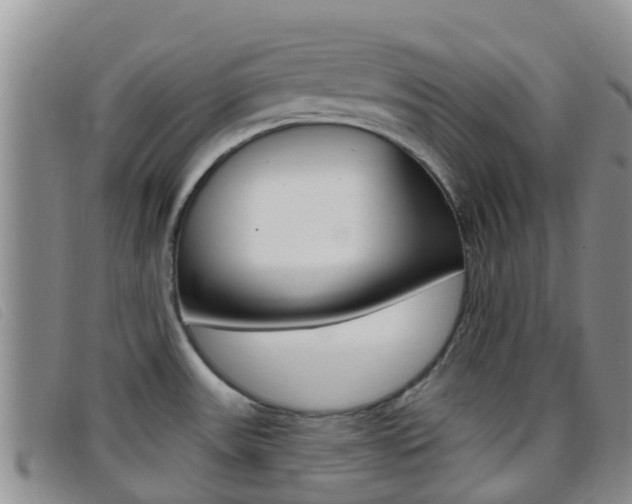 X0000096721531200802051049