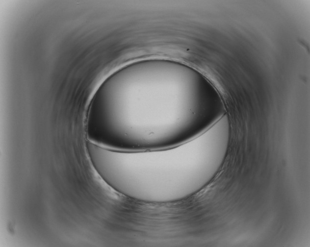 X0000096721532200802051049