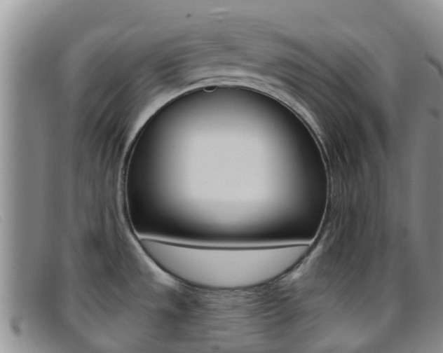 X0000096721533200802051049