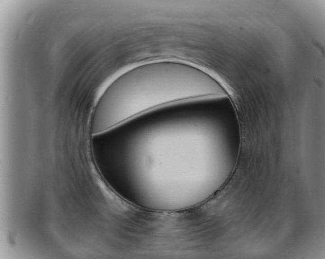 X0000096721534200802051049