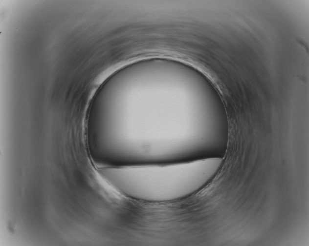 X0000096721535200802051049