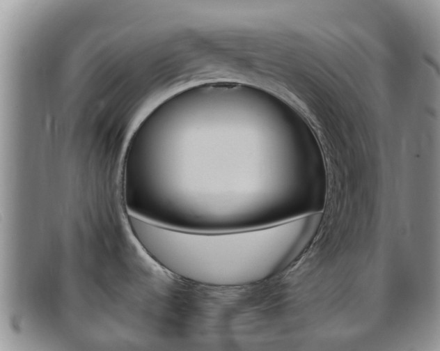 X0000096721536200802051049