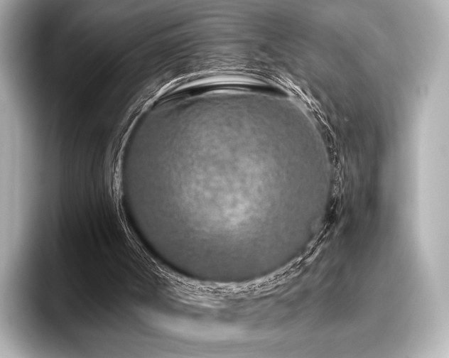 X0000096720002200802051452