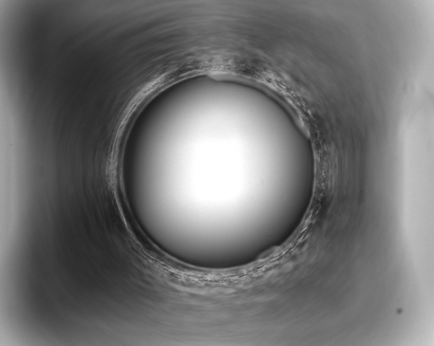 X0000096720003200802051452