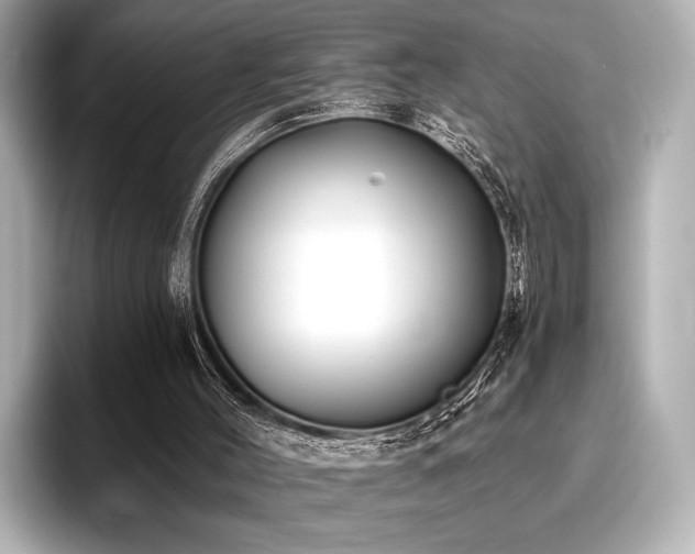 X0000096720004200802051452