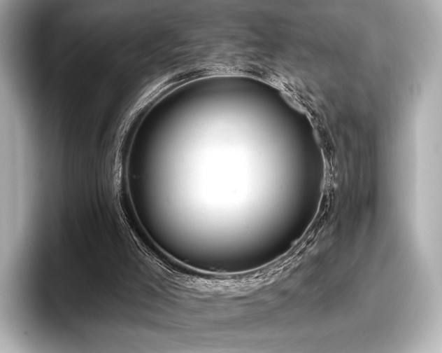 X0000096720005200802051452