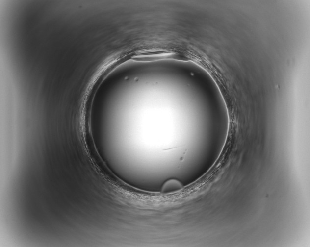 X0000096720006200802051452