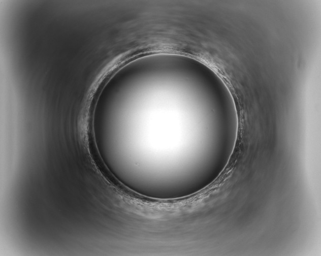 X0000096720007200802051452