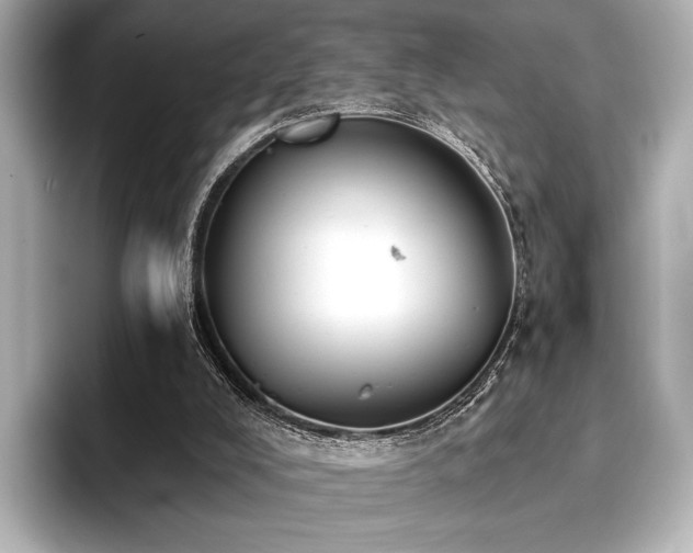 X0000096720008200802051452