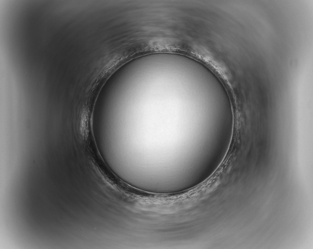 X0000096720009200802051452