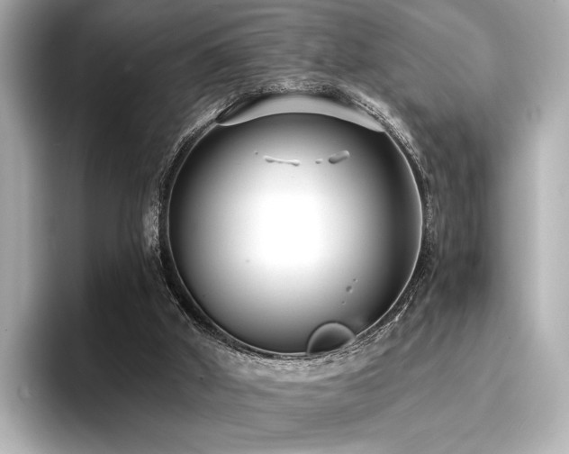 X0000096720010200802051452