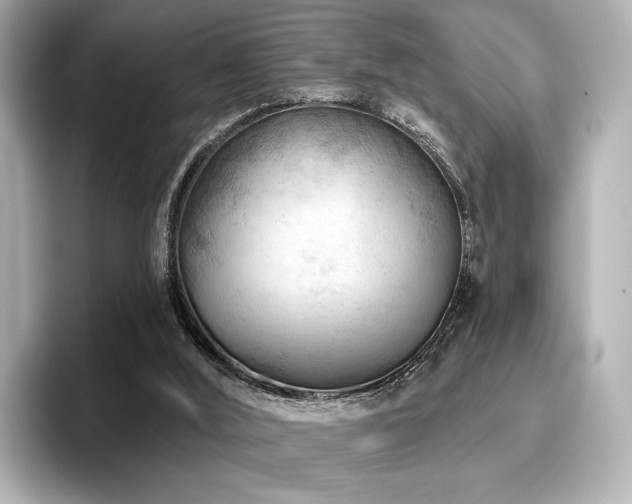 X0000096720012200802051452