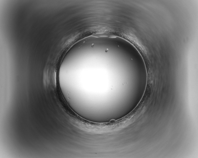 X0000096720014200802051452