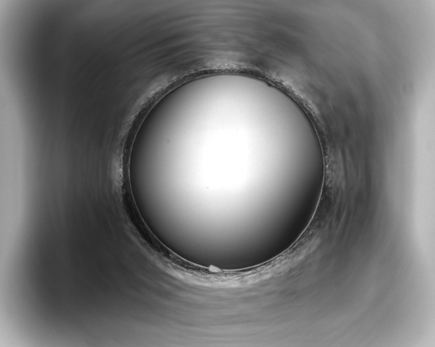 X0000096720015200802051452