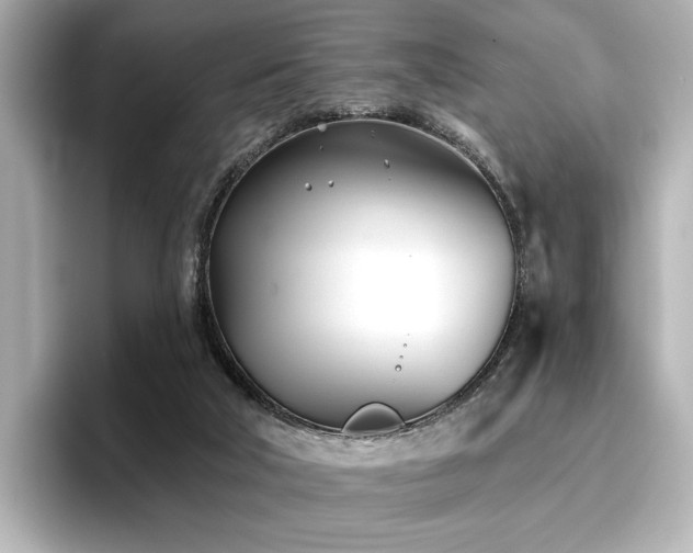 X0000096720018200802051452