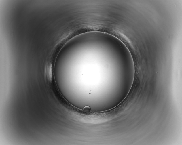 X0000096720020200802051452