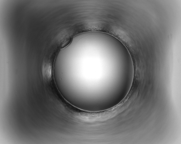 X0000096720021200802051452