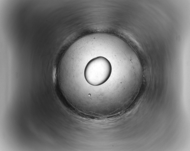 X0000096720024200802051452