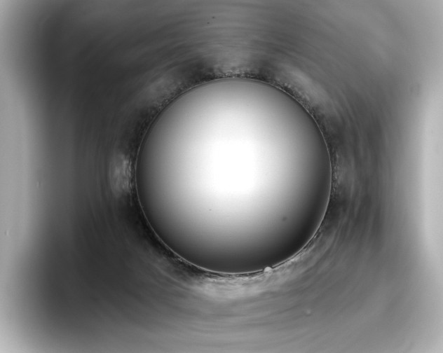 X0000096720025200802051452