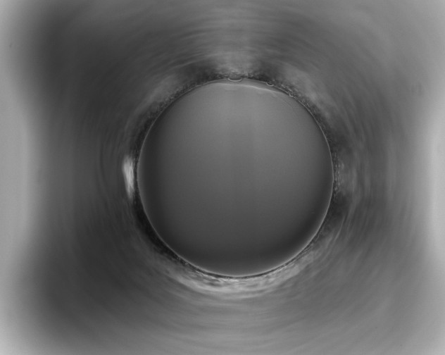 X0000096720027200802051452