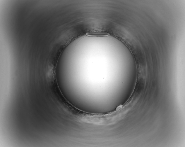 X0000096720029200802051452