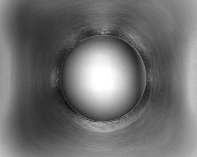 X0000096720030200802051452