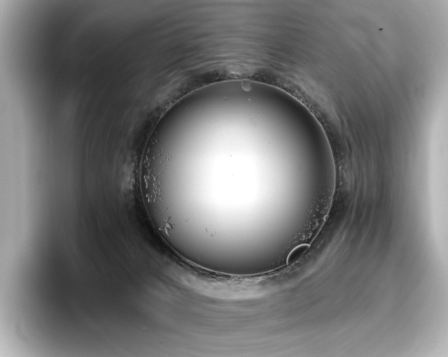 X0000096720032200802051452