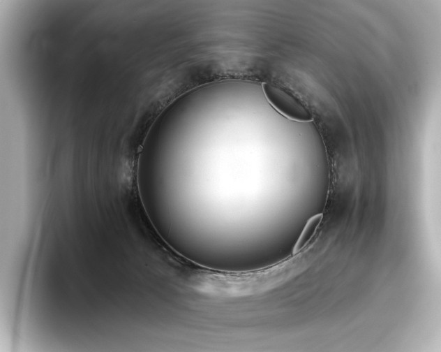 X0000096720033200802051452