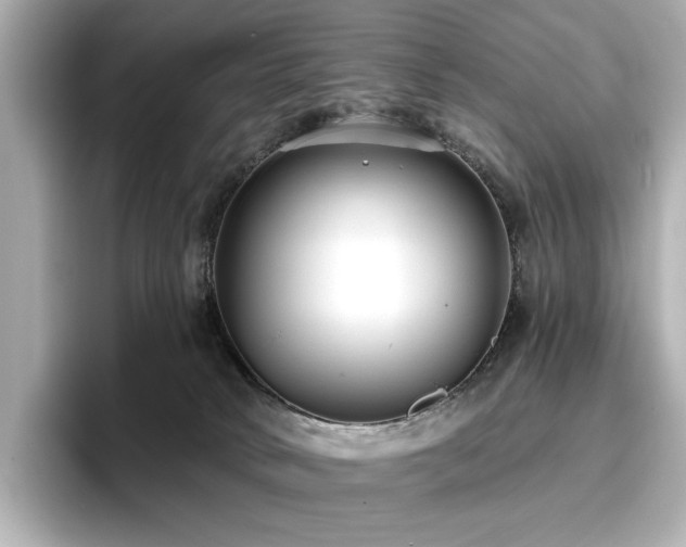 X0000096720034200802051452