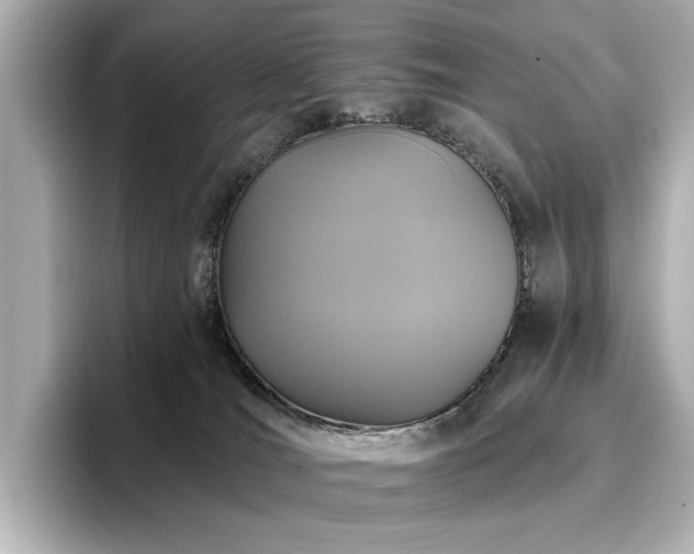 X0000096720036200802051452