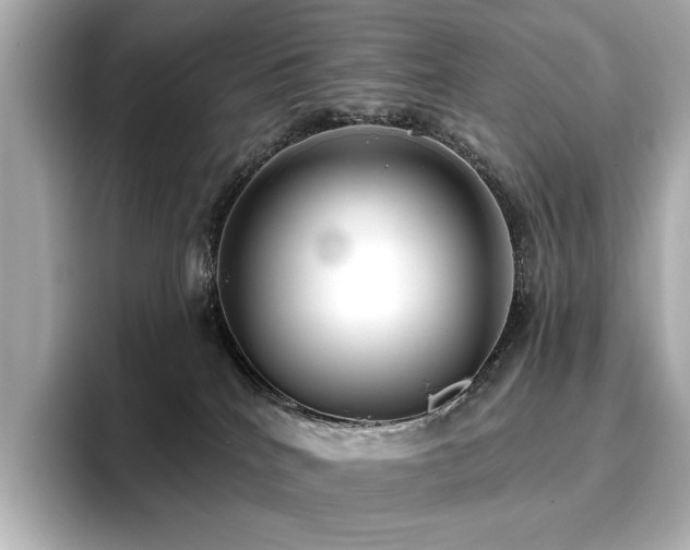 X0000096720040200802051452