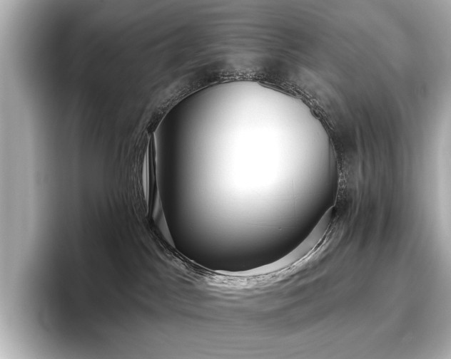 X0000096720045200802051451