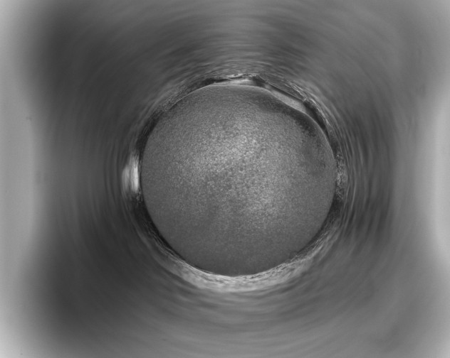 X0000096720046200802051451