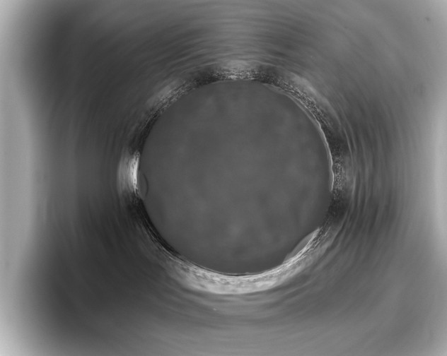 X0000096720047200802051451