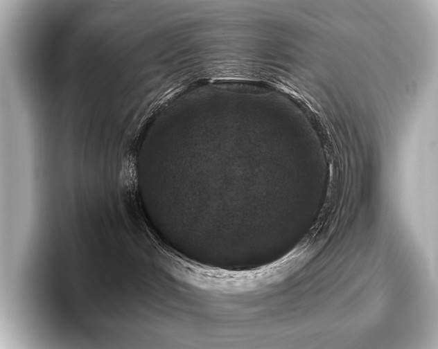 X0000096720048200802051451