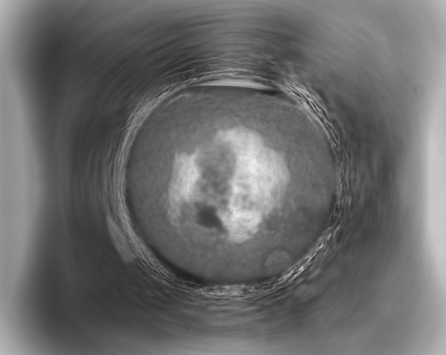 X0000096720049200802051451