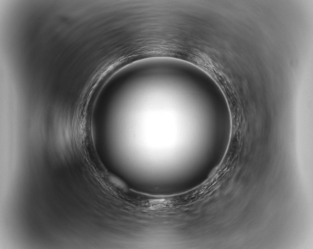 X0000096720050200802051451