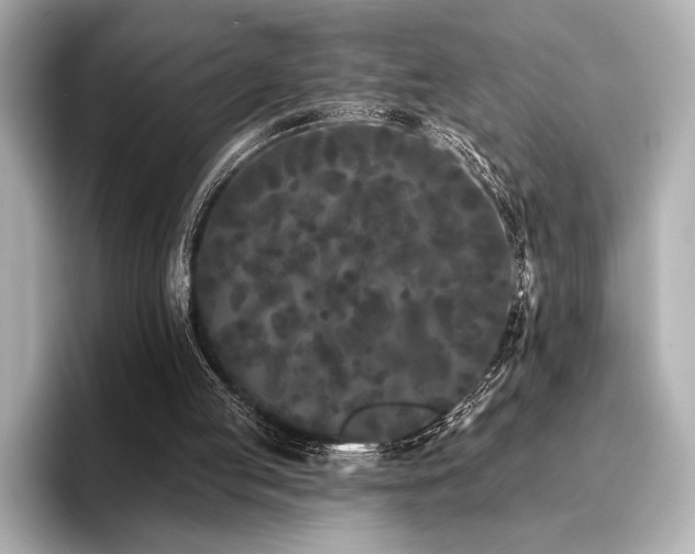 X0000096720053200802051451