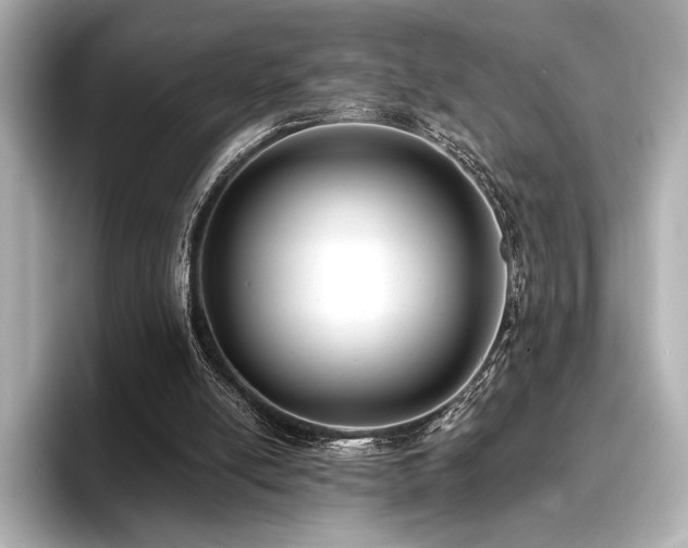 X0000096720054200802051451