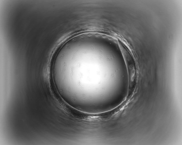 X0000096720055200802051451