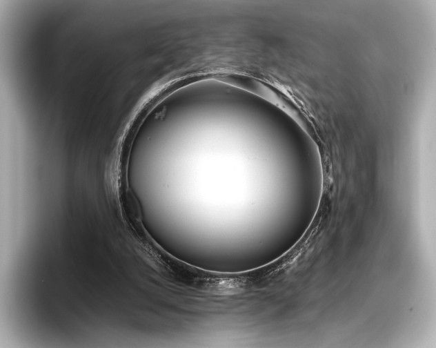 X0000096720056200802051451